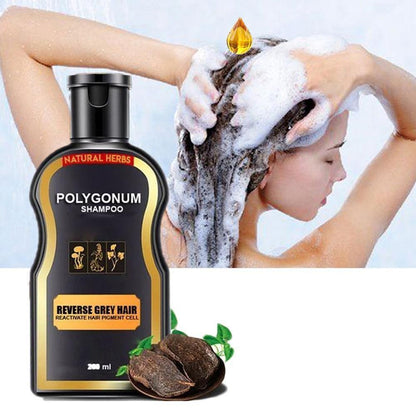 200ml Hair Loss Treatment Shampoo Hair care Shampoo